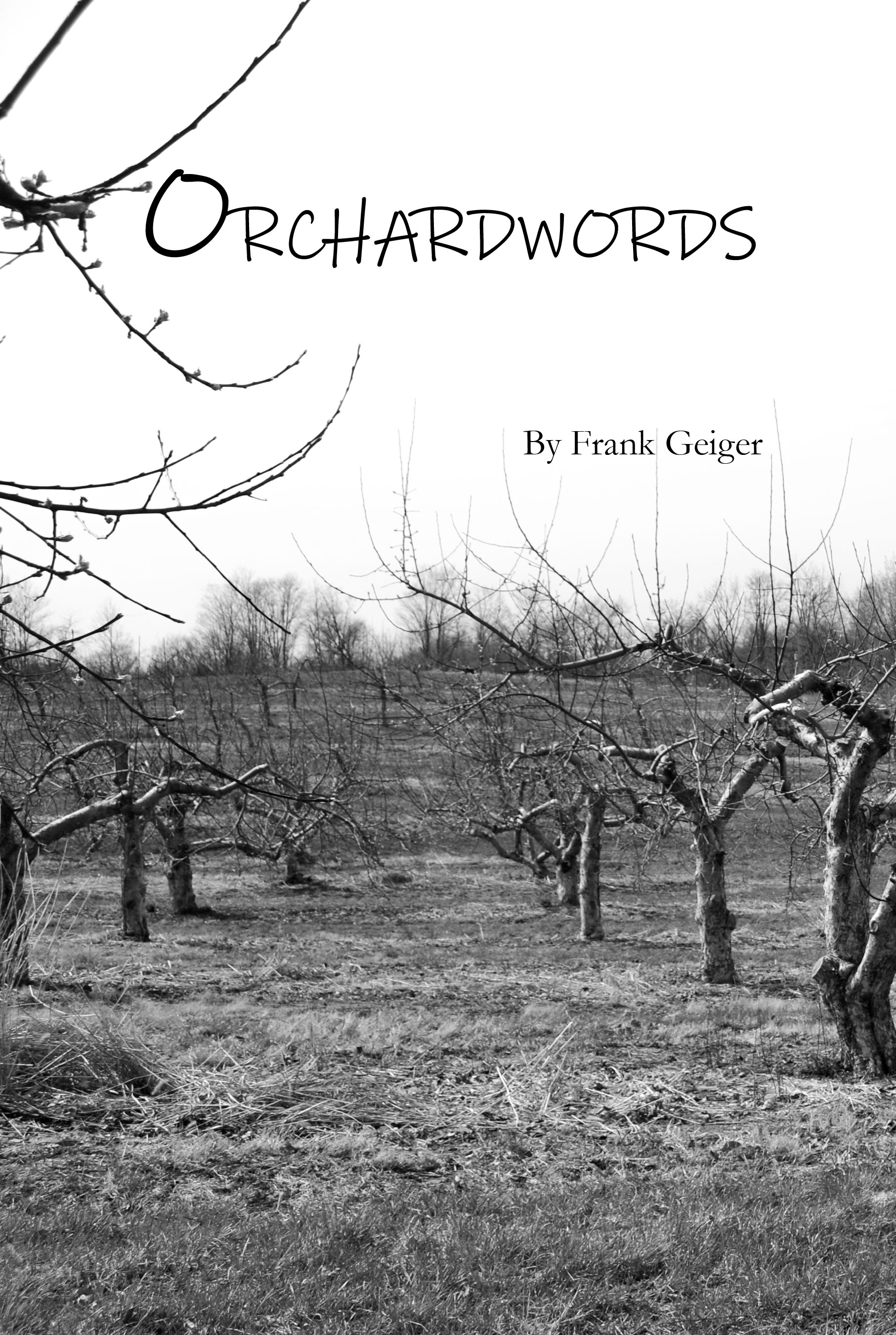 Orchardwalk book cover